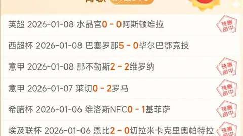 独家爆料：纽卡斯尔热切追逐莱斯特城外借球星哈努斯，水晶宫紧随其后展开竞逐！