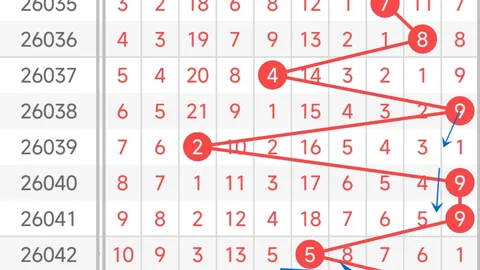 2026028期大乐透专家精准推荐：质合分析前区十码杀码定号