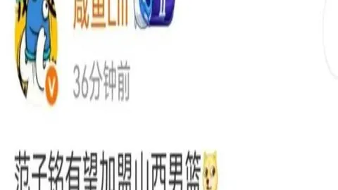 美洲之战连战连捷深度剖析策略闭环，胜利秘诀
