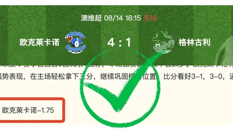 对决深度解析：梦想队狂热队终极对决攻略